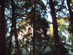 DSCF0125.JPG